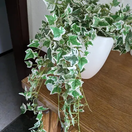게스트하우스 Vintage-zimmer Mit Balkon